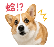 845497886