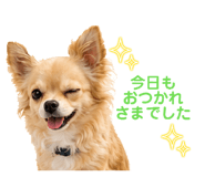 845499592