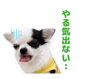 845499823