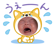 845500414