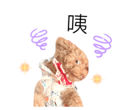 845500774