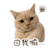 845500948