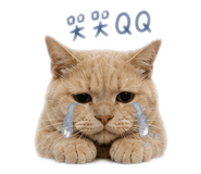 845500956
