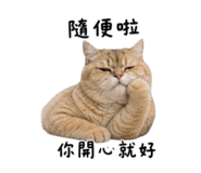 845501020