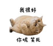 845501025