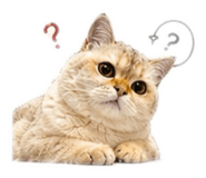 845501112