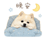 845501507