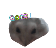845502377