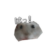845502378