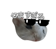 845502380