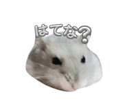 845502382