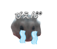 845502384