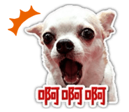 845502513