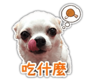 845502515