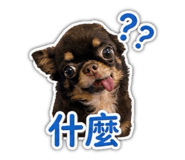 845502533