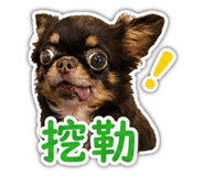 845502535