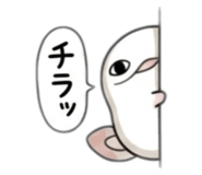845503250