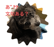 845503489