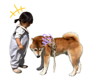 845503587