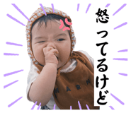 845503756