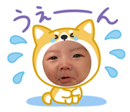 845503774