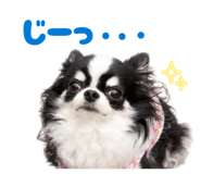 845503850