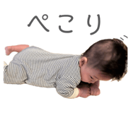 845503904