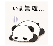 845504251