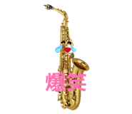 845504287
