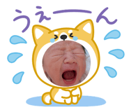 845504301