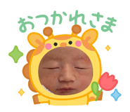 845504302