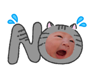 845504304