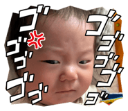 845504524
