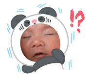 845504526