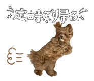 845504532