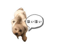 845504540