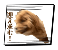 845504542