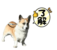 845504545
