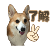 845504546