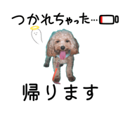845504550
