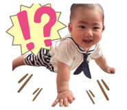 845504560
