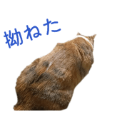 845504797
