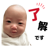 845504813