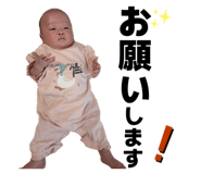845504816