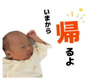 845504819
