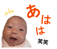845504820