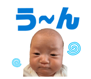 845504828