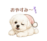 845504859