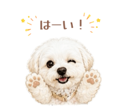 845504860