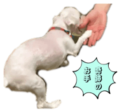 845504913